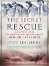 Cover image for The Secret Rescue